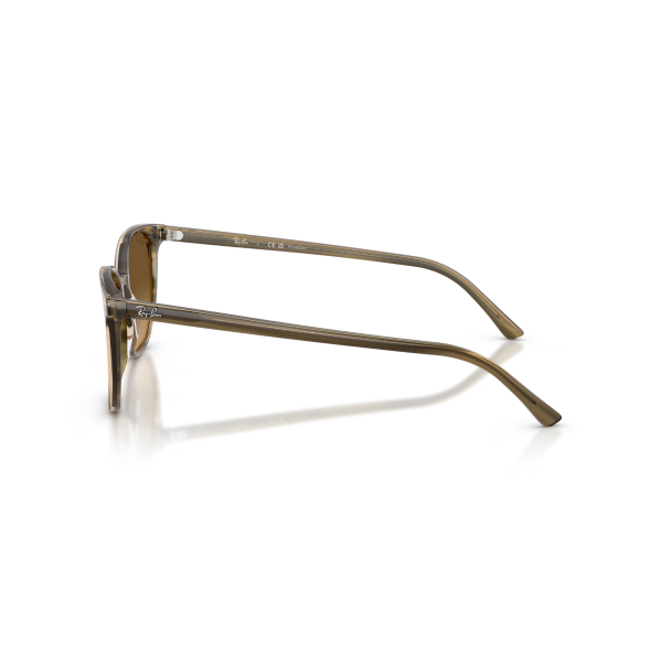 RB 2197 1439M2 52 Ray-Ban ELLIOT Polarize Güneş Gözlüğü