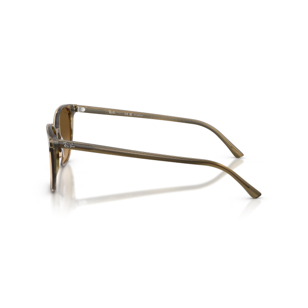 RB 2197 1439M2 52 Ray-Ban ELLIOT Polarize Güneş Gözlüğü