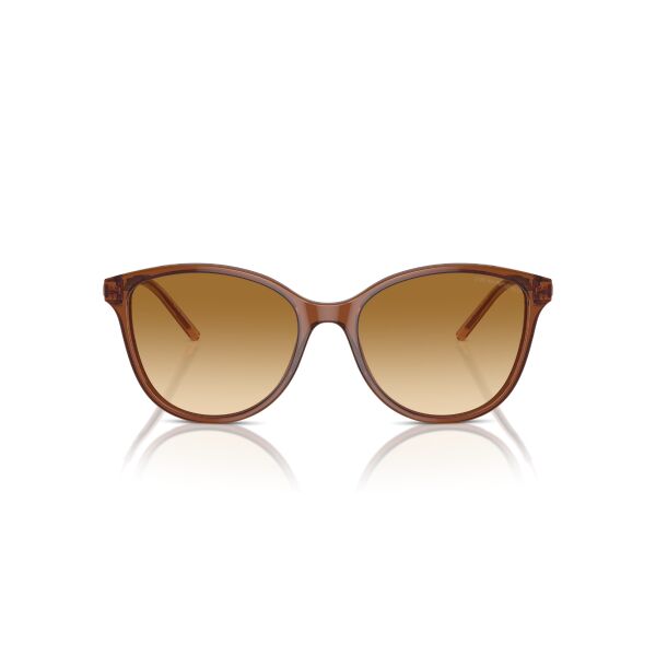 EA 4220 61103B 54 Emporio Armani Güneş Gözlüğü