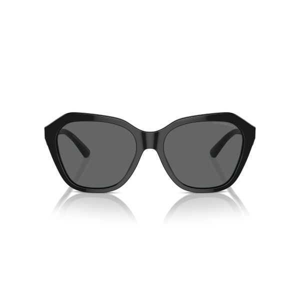 EA 4221 501787 56 Emporio Armani Güneş Gözlüğü