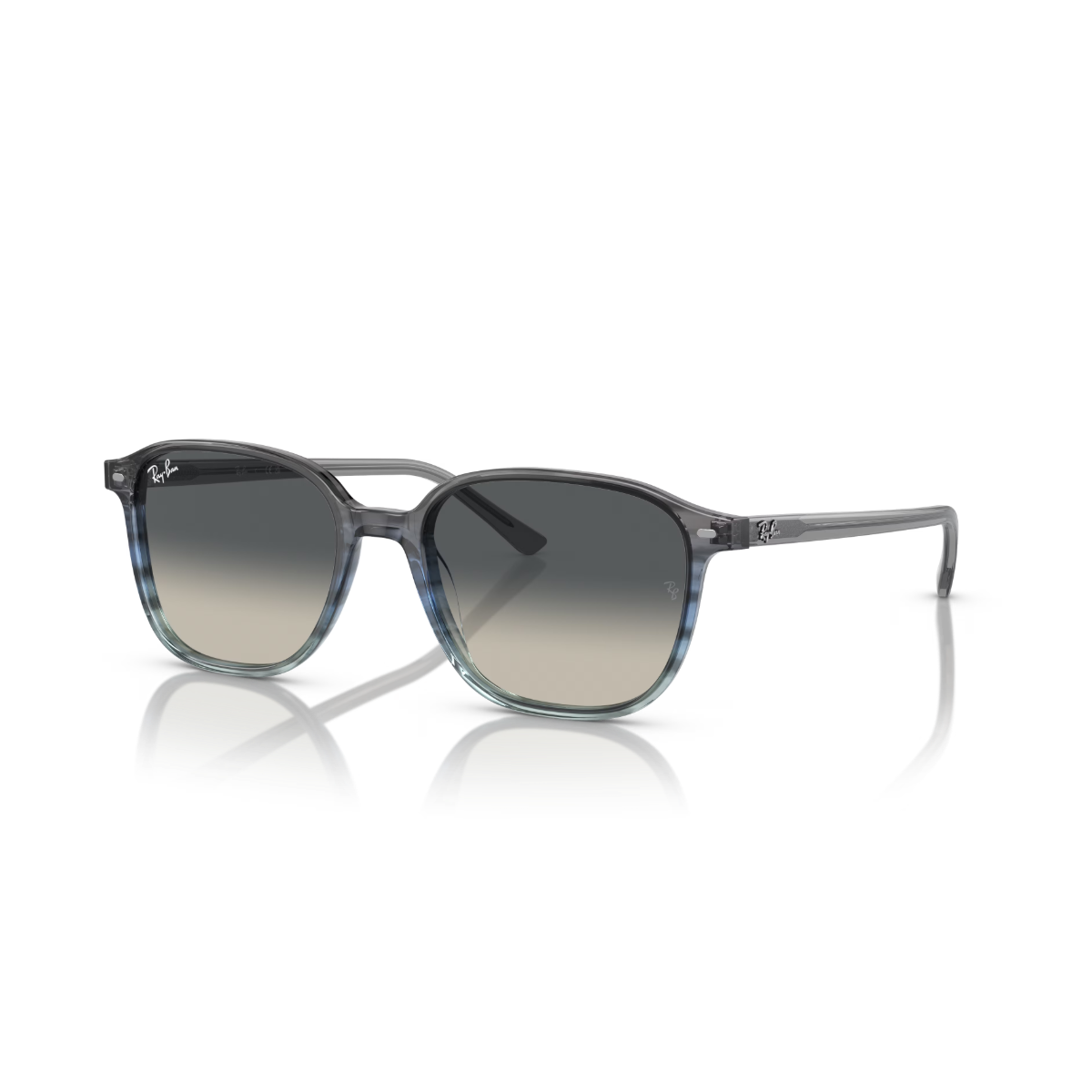 RB 2193 138171 55 Ray-Ban LEONARD Güneş Gözlüğü