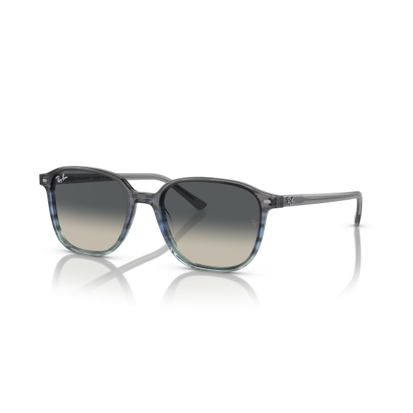 RB 2193 138171 55 Ray-Ban LEONARD Güneş Gözlüğü
