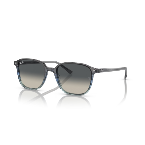 RB 2193 138171 55 Ray-Ban LEONARD Güneş Gözlüğü