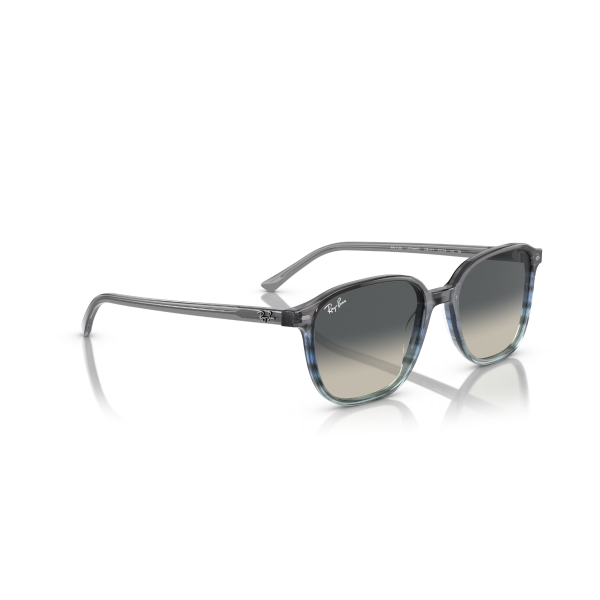 RB 2193 138171 55 Ray-Ban LEONARD Güneş Gözlüğü