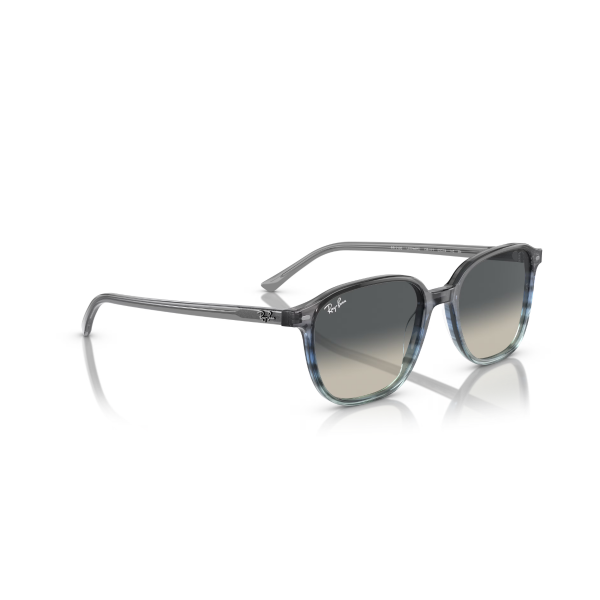 RB 2193 138171 55 Ray-Ban LEONARD Güneş Gözlüğü
