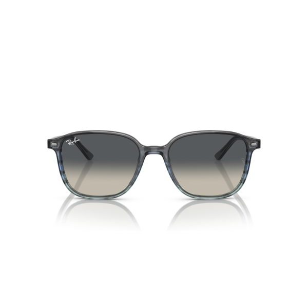 RB 2193 138171 55 Ray-Ban LEONARD Güneş Gözlüğü