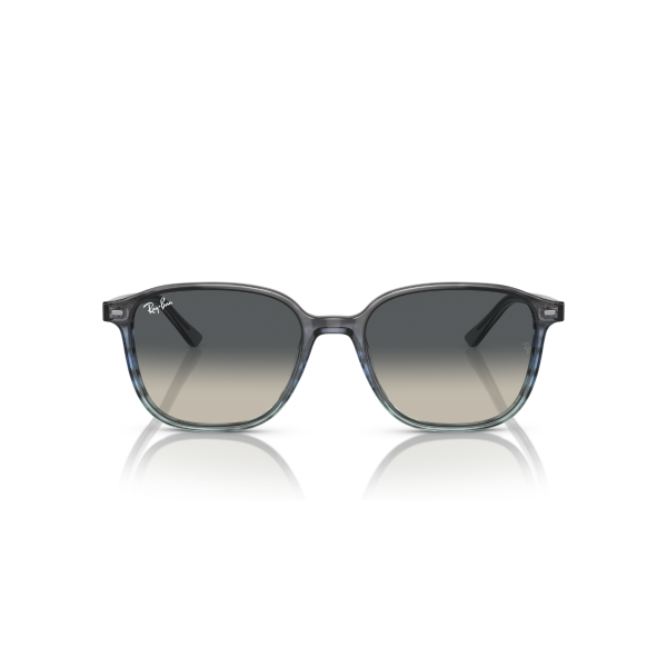 RB 2193 138171 55 Ray-Ban LEONARD Güneş Gözlüğü