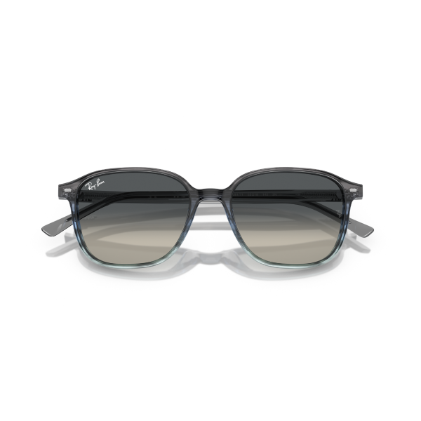 RB 2193 138171 55 Ray-Ban LEONARD Güneş Gözlüğü