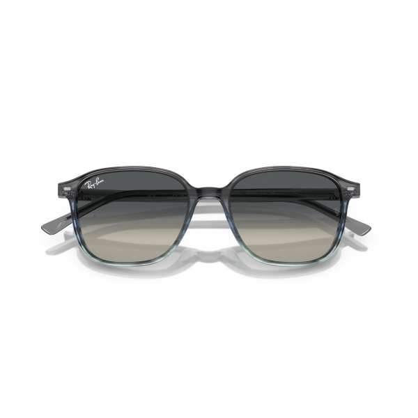 RB 2193 138171 55 Ray-Ban LEONARD Güneş Gözlüğü