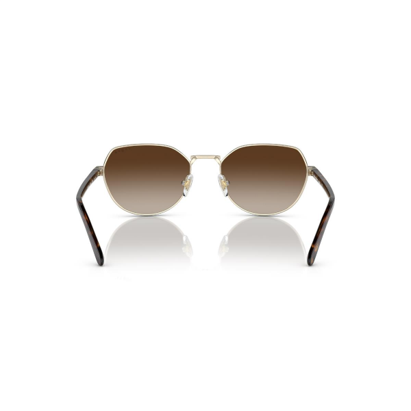 VO 4242S 848/13 53 Vogue Hailey Bieber Güneş Gözlüğü