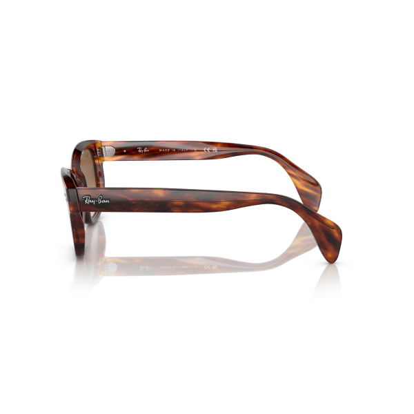 RB 0880S 954/51 52 Ray-Ban Güneş Gözlüğü