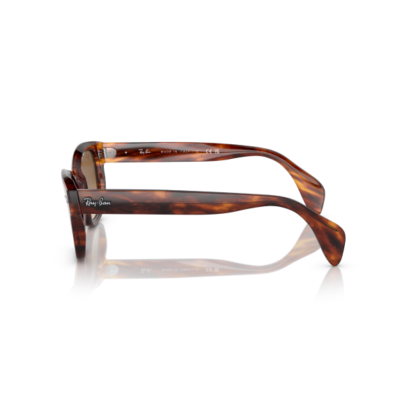 RB 0880S 954/51 52 Ray-Ban Güneş Gözlüğü