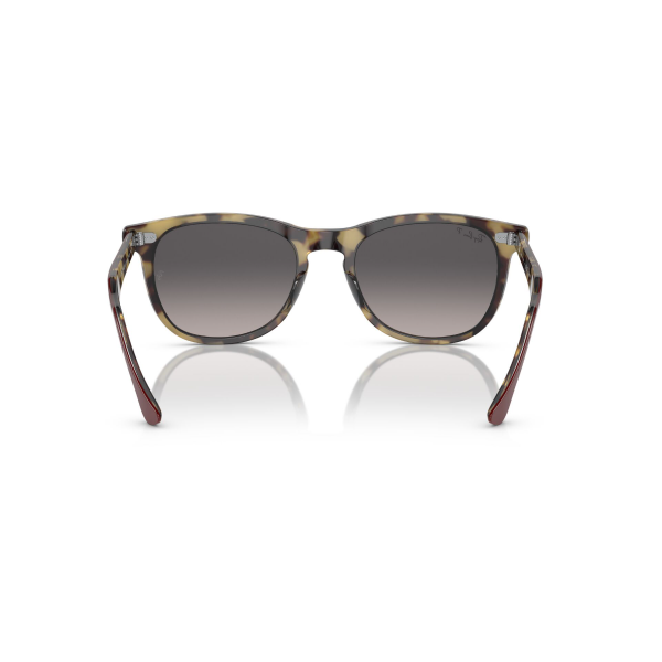 RB 2398 1377M3 53 Ray-Ban EAGLEEYE Polarize Güneş Gözlüğü