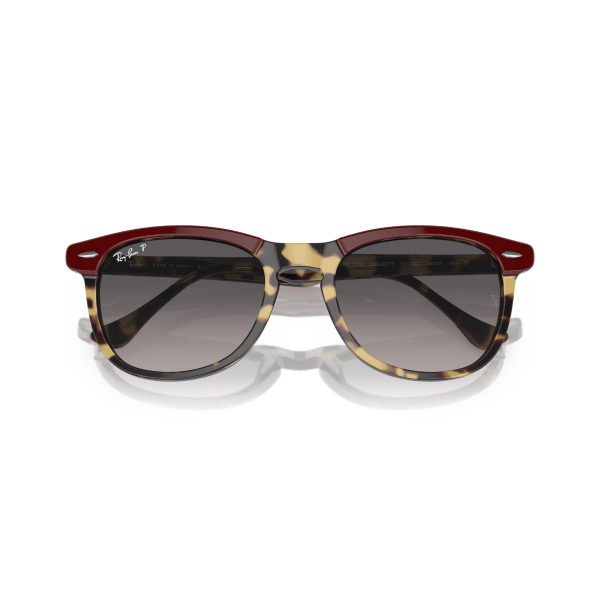 RB 2398 1377M3 53 Ray-Ban EAGLEEYE Polarize Güneş Gözlüğü