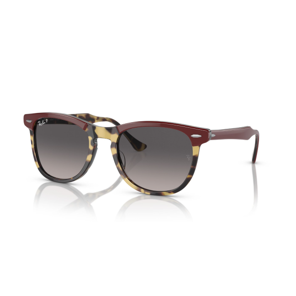 RB 2398 1377M3 53 Ray-Ban EAGLEEYE Polarize Güneş Gözlüğü