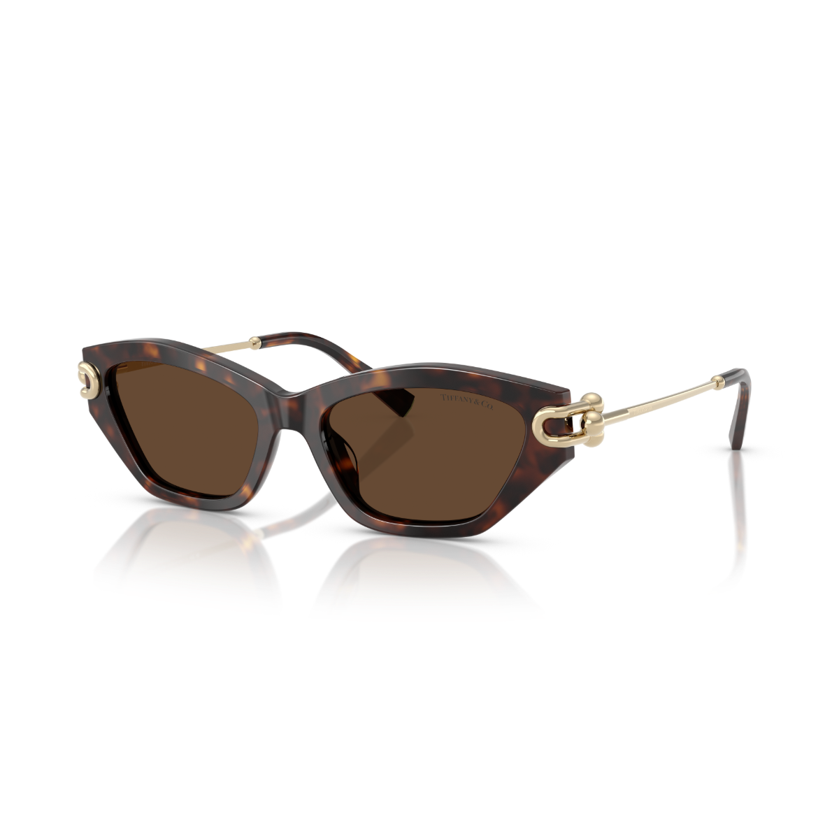 TF 4231U 80153G 53 Tiffany & Co. Güneş Gözlüğü