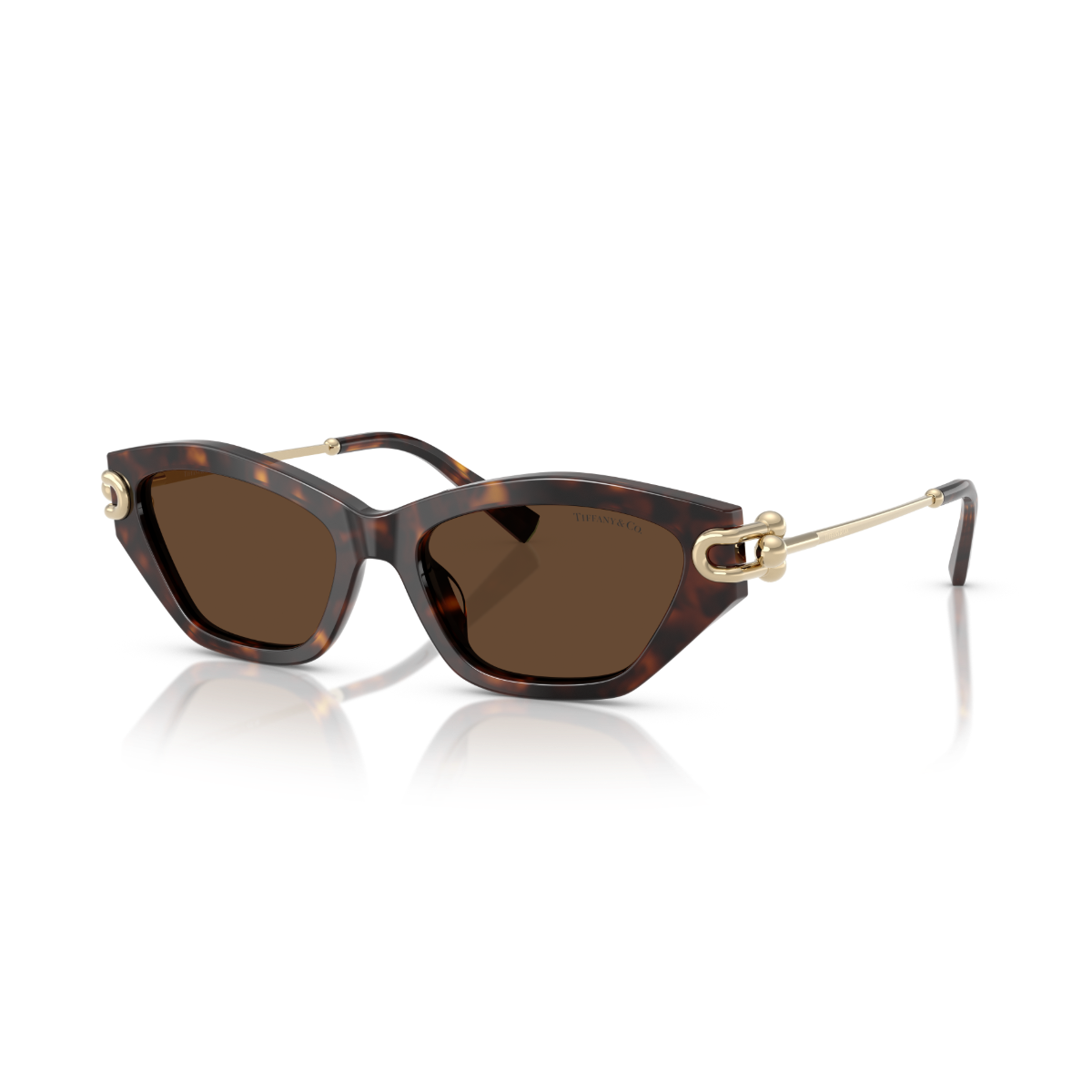 TF 4231U 80153G 53 Tiffany & Co. Güneş Gözlüğü