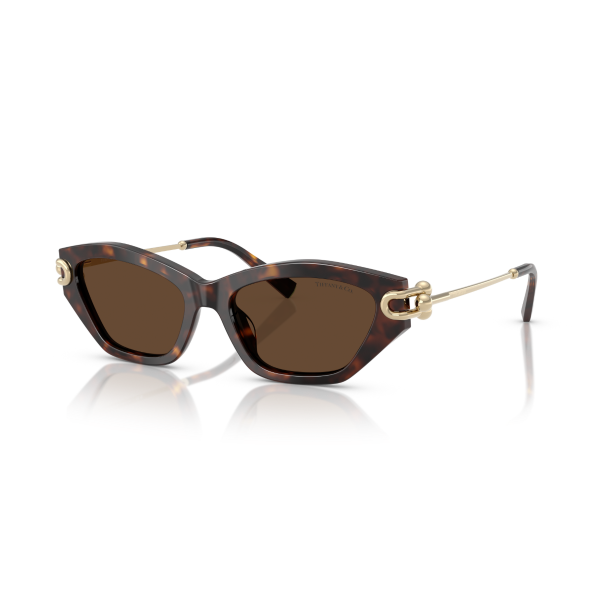 TF 4231U 80153G 53 Tiffany & Co. Güneş Gözlüğü