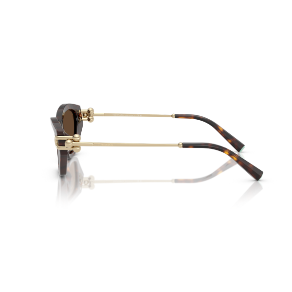 TF 4231U 80153G 53 Tiffany & Co. Güneş Gözlüğü