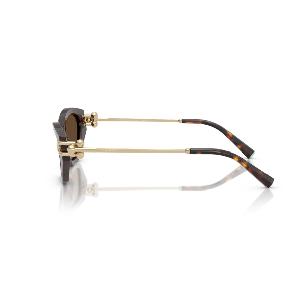 TF 4231U 80153G 53 Tiffany & Co. Güneş Gözlüğü