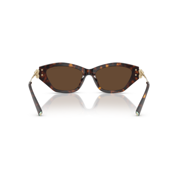 TF 4231U 80153G 53 Tiffany & Co. Güneş Gözlüğü
