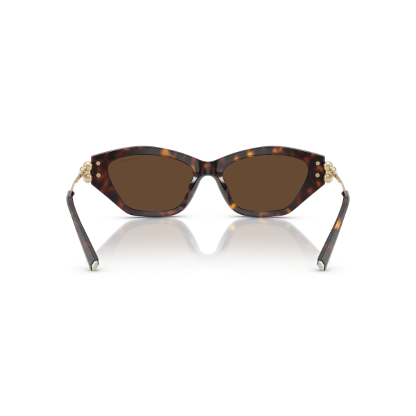 TF 4231U 80153G 53 Tiffany & Co. Güneş Gözlüğü