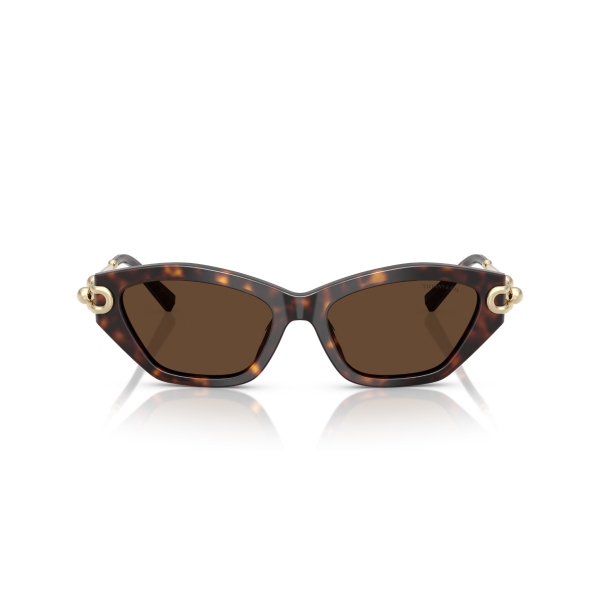 TF 4231U 80153G 53 Tiffany & Co. Güneş Gözlüğü