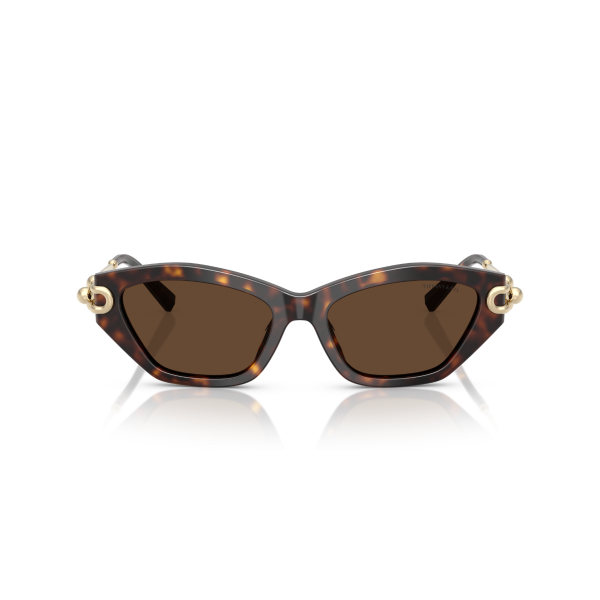 TF 4231U 80153G 53 Tiffany & Co. Güneş Gözlüğü