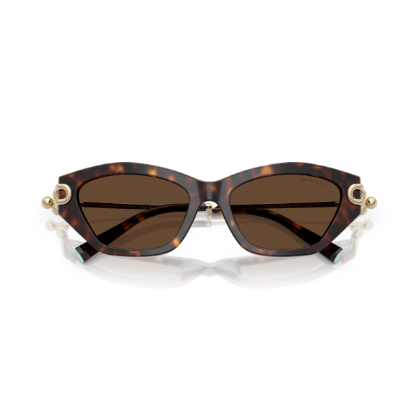 TF 4231U 80153G 53 Tiffany & Co. Güneş Gözlüğü