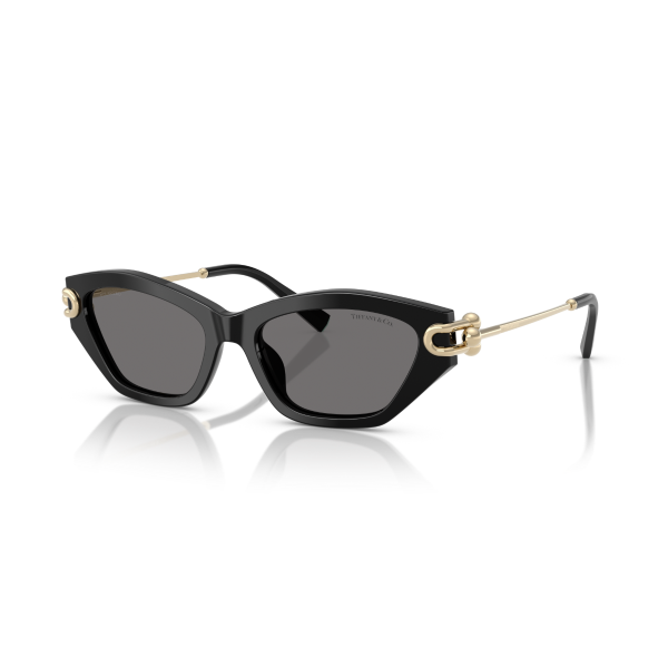 TF 4231U 800181 53 Tiffany & Co. Polarize Güneş Gözlüğü