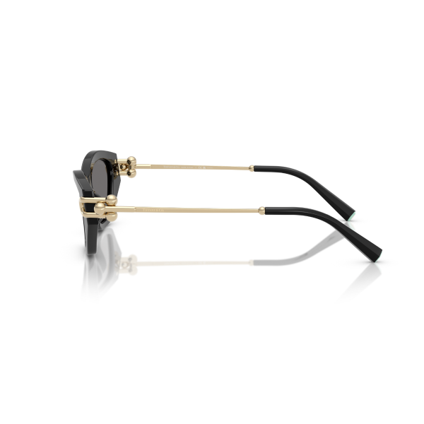 TF 4231U 800181 53 Tiffany & Co. Polarize Güneş Gözlüğü