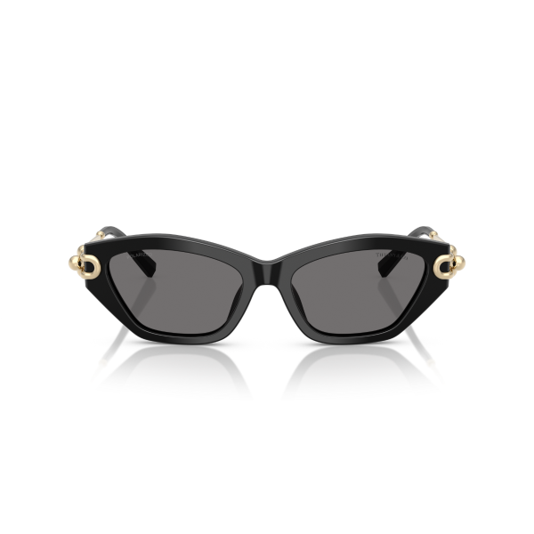 TF 4231U 800181 53 Tiffany & Co. Polarize Güneş Gözlüğü