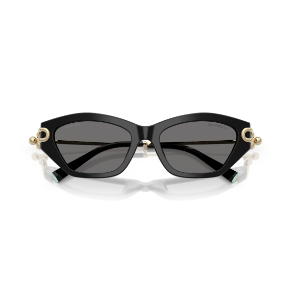TF 4231U 800181 53 Tiffany & Co. Polarize Güneş Gözlüğü