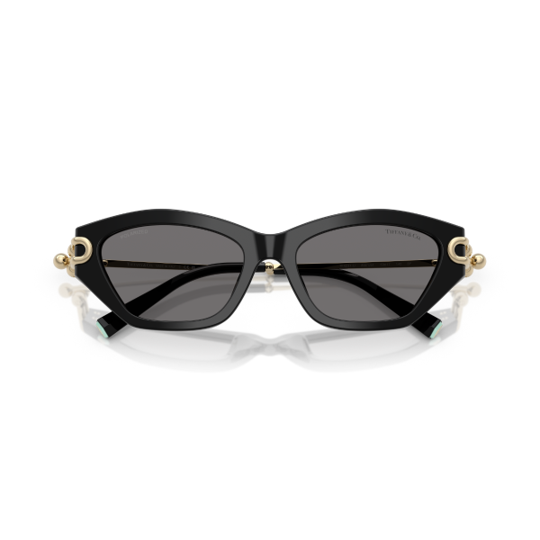 TF 4231U 800181 53 Tiffany & Co. Polarize Güneş Gözlüğü