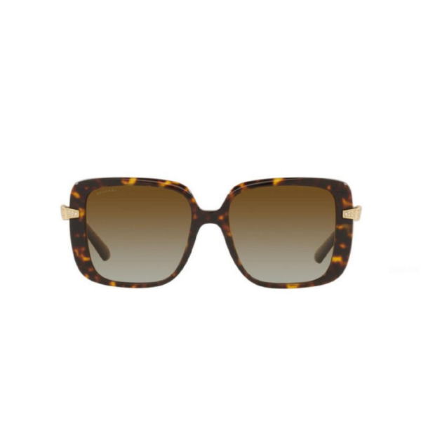 BV 8237B 504/T5 55 Bvlgari Polarize Güneş Gözlüğü