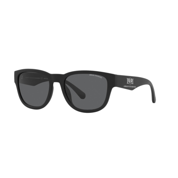 AX 4115SU 807887 54 Armani Exchange Güneş Gözlüğü