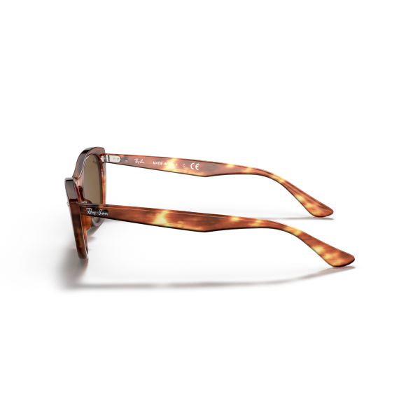 RB 4314N 954/33 54 Ray-Ban NINA Güneş Gözlüğü