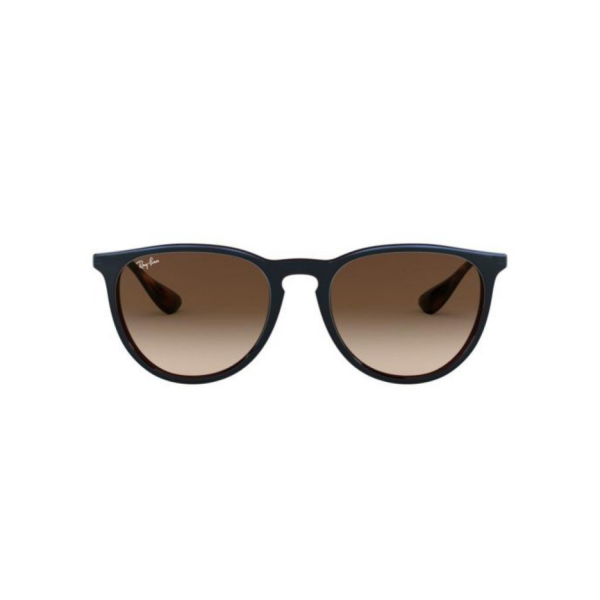 RB 4171 631513 54 Ray-Ban ERIKA Güneş Gözlüğü