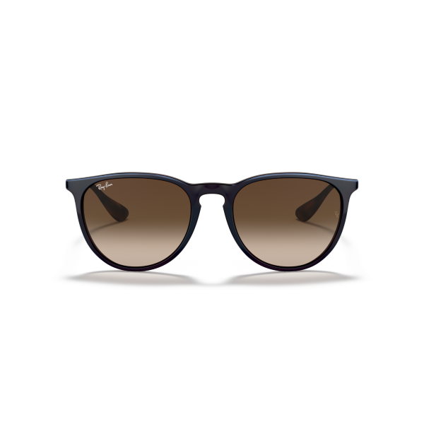 RB 4171 631513 54 Ray-Ban ERIKA Güneş Gözlüğü