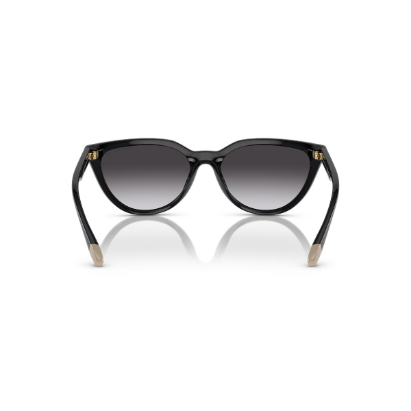 AX 4130SU 81588G 56 Armani Exchange Güneş Gözlüğü