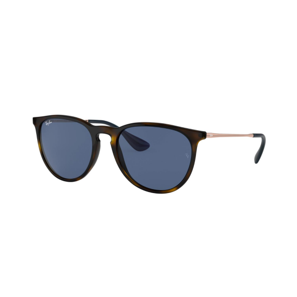 RB 4171 639080 54 Ray-Ban ERIKA Güneş Gözlüğü