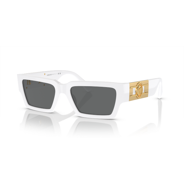 VE 4459 314/87 54 Versace Güneş Gözlüğü