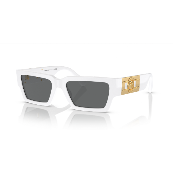 VE 4459 314/87 54 Versace Güneş Gözlüğü