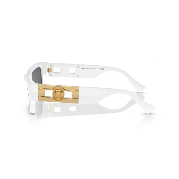 VE 4459 314/87 54 Versace Güneş Gözlüğü