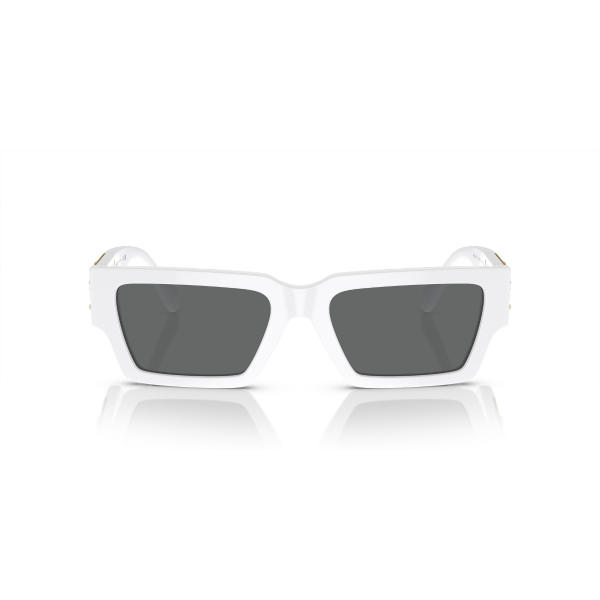 VE 4459 314/87 54 Versace Güneş Gözlüğü