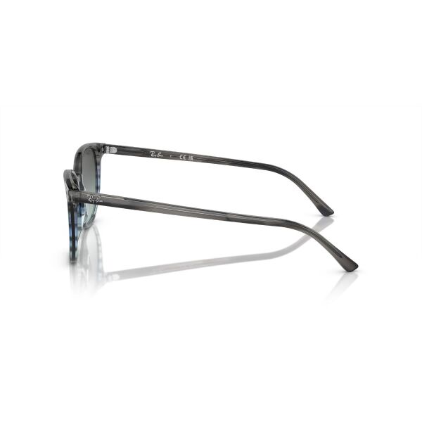 RB 2197 1391GK 54 Ray-Ban ELLIOT Güneş Gözlüğü