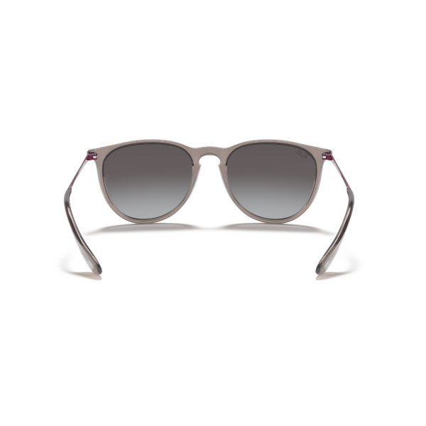 RB 4171 65138G 54 Ray-Ban ERIKA Güneş Gözlüğü