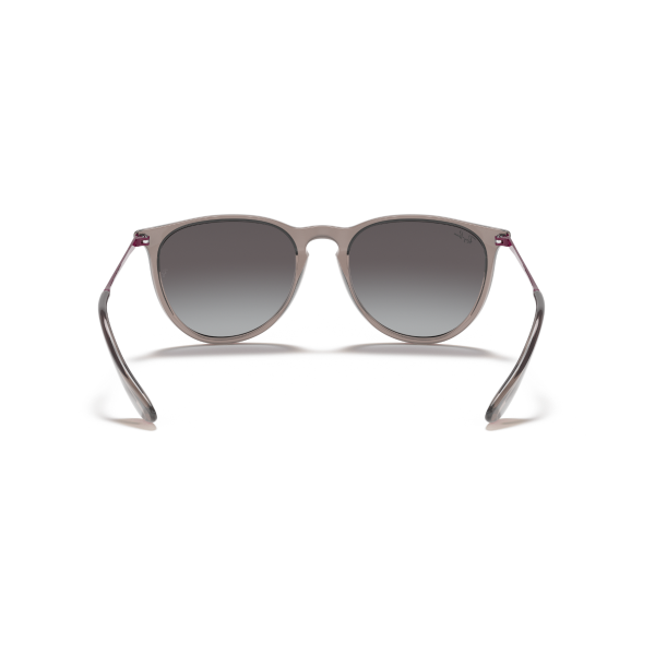 RB 4171 65138G 54 Ray-Ban ERIKA Güneş Gözlüğü