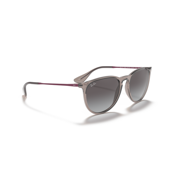 RB 4171 65138G 54 Ray-Ban ERIKA Güneş Gözlüğü