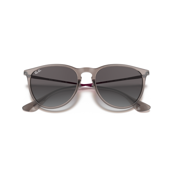 RB 4171 65138G 54 Ray-Ban ERIKA Güneş Gözlüğü